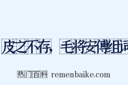 皮之不存，毛将安傅组词是什么意思的图片